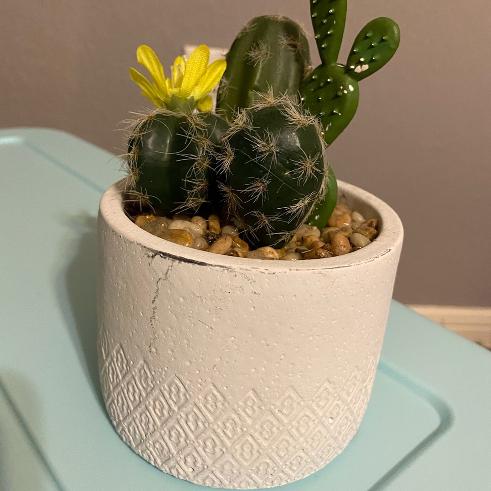 Faux cactus plant